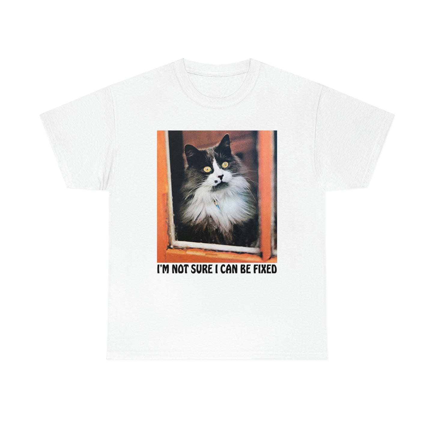 I'm Not Sure I Can Be Fixed.