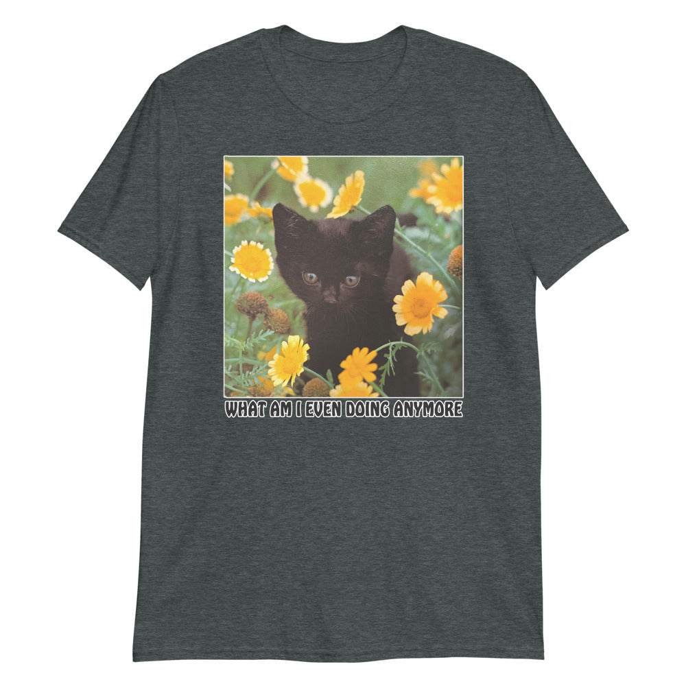 What Am I Even Doing Anymore.