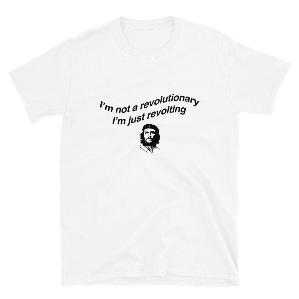 I'm Not A Revolutionary.