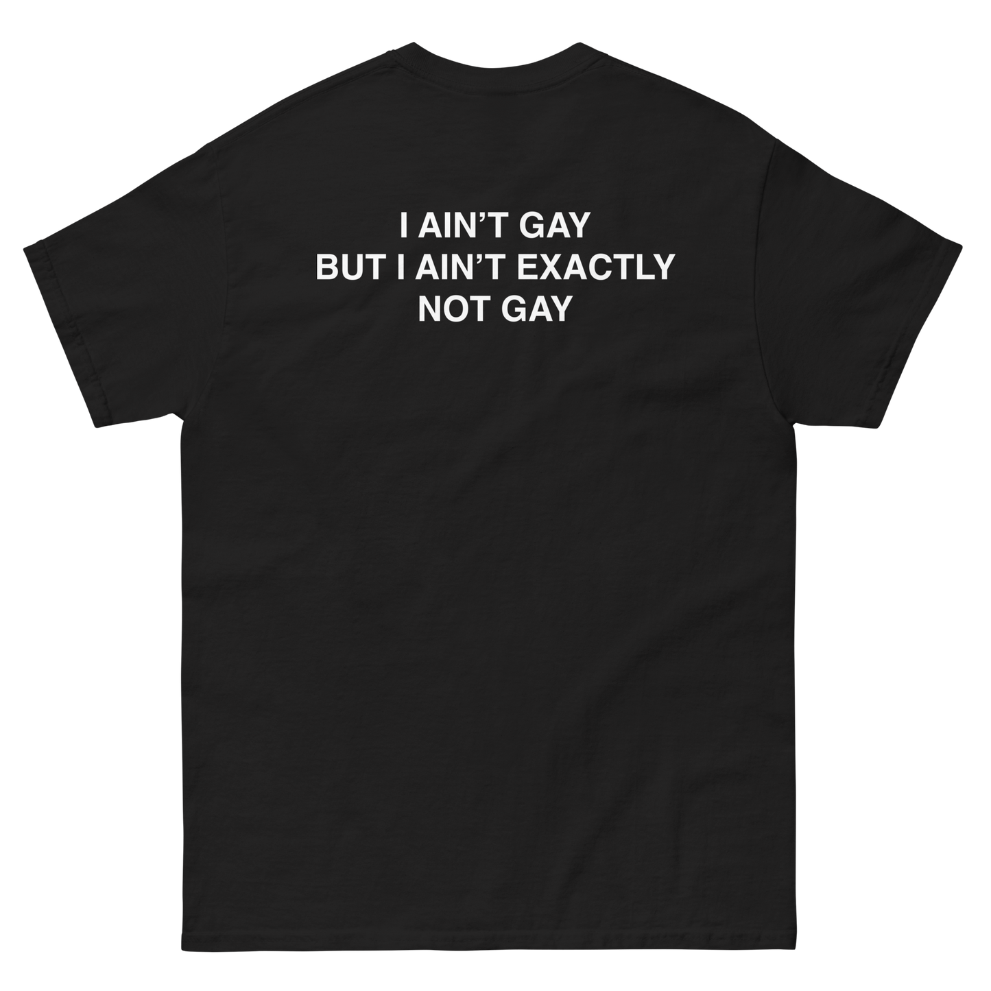 I Ain't Gay But I Ain't Exactly Not Gay.