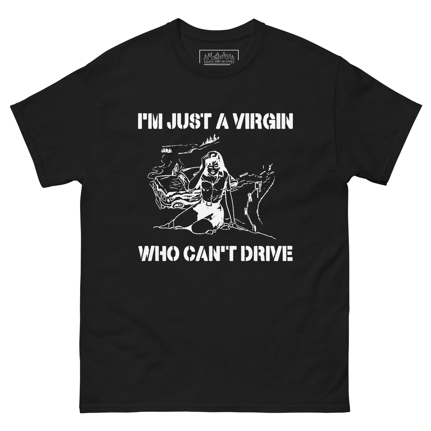 I'm Just A Virgin Who Can't Drive.