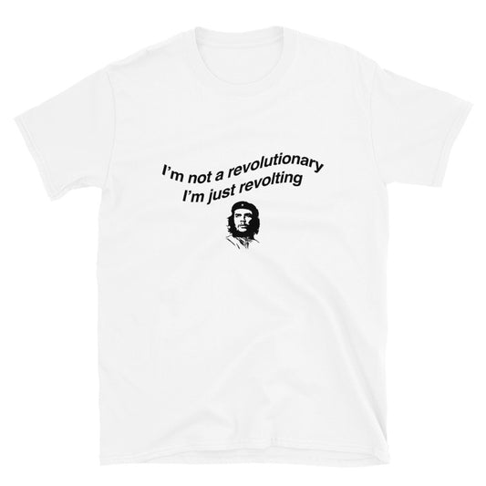 I'm Not A Revolutionary.